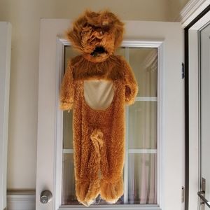 Boys lion costume